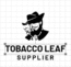 Tobacco leaf suppliers